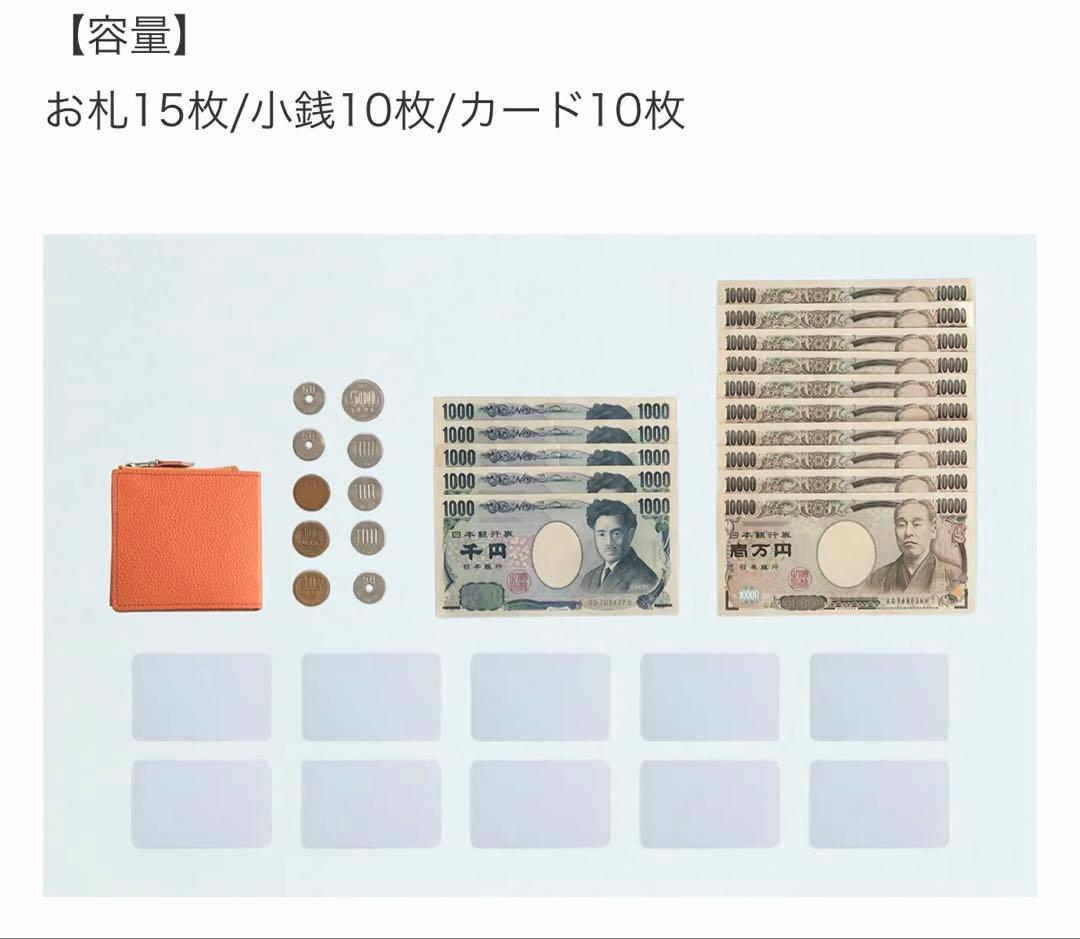 【試着のみ】　新進工房　SINSIN⭐︎キャレ-carreブラック　本革