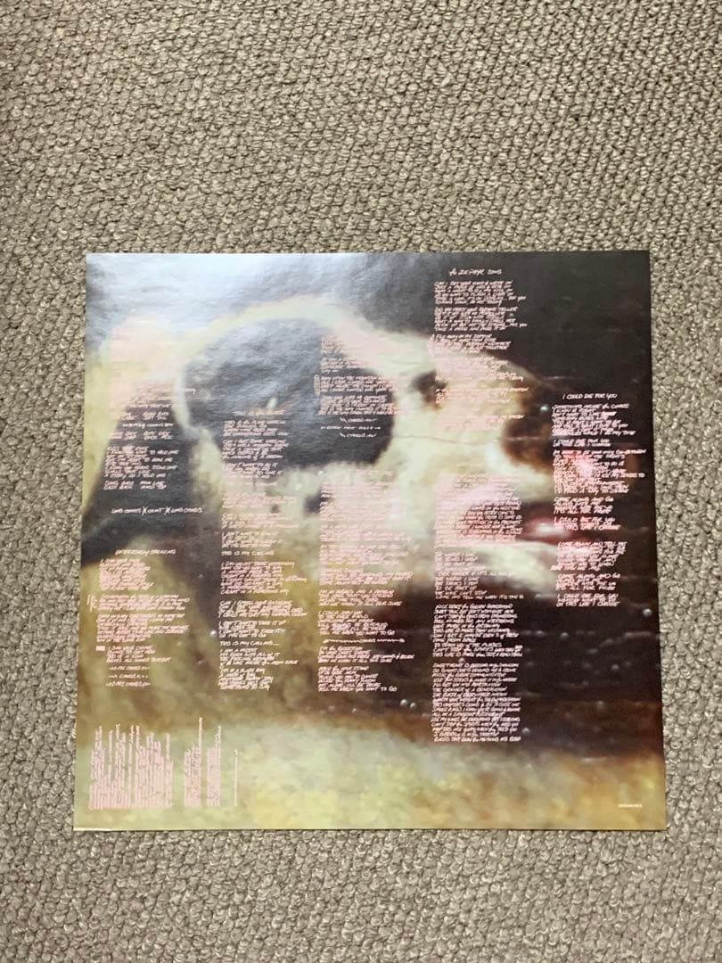 Red Hot Chili Peppers-By The Wayアナログレコード