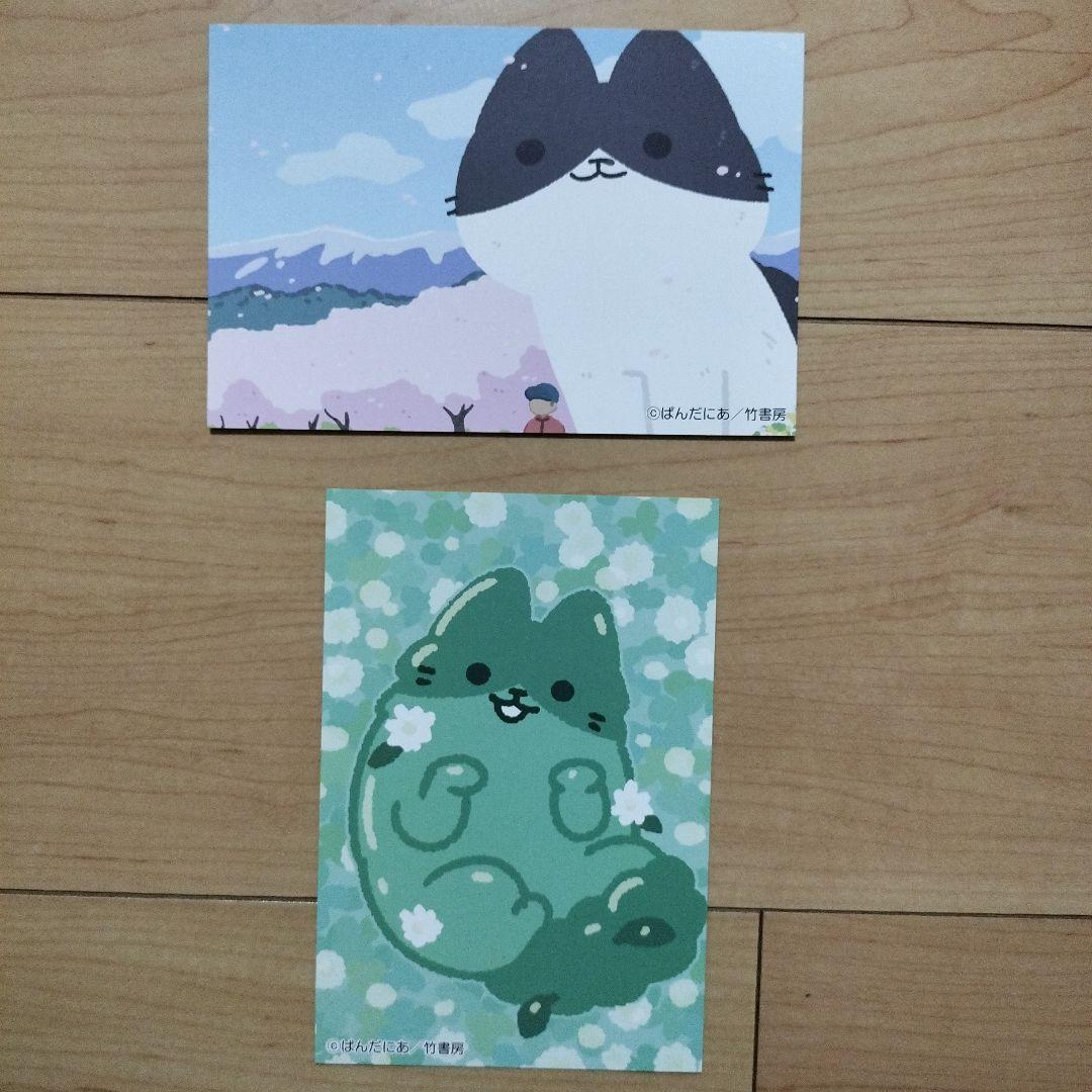 ↓ねこようかい、ねこもんすたー、悪の秘密結社ネコ 13冊セット