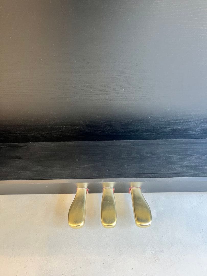 CASIO 電子ピアノ CELVIANO AP-450