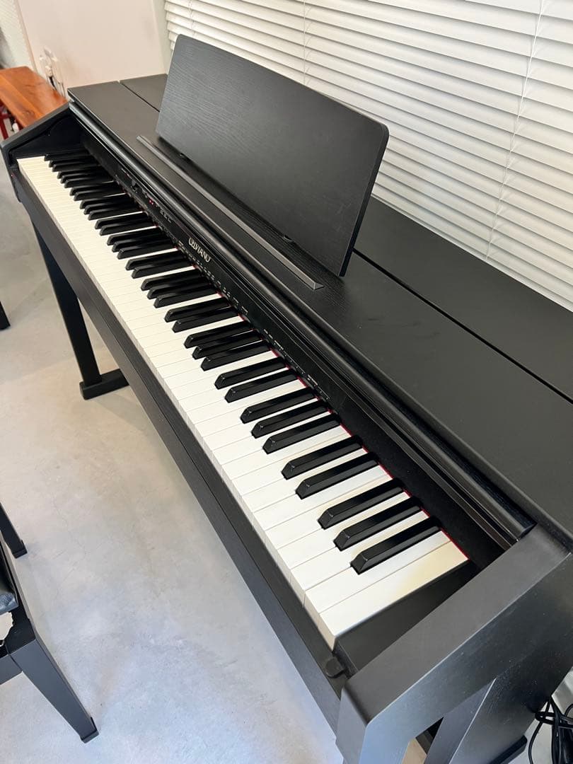 CASIO 電子ピアノ CELVIANO AP-450