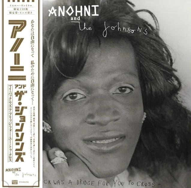 ANOHNI and the Johnsons BIG LOVE盤 レコード