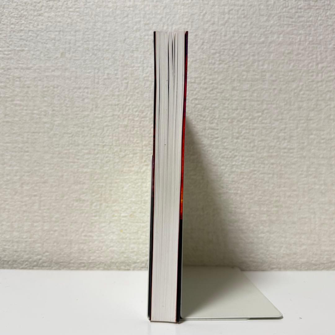 【訳あり】仙道気功で運気が好転する : 幸せをもたらす奇跡の気功術