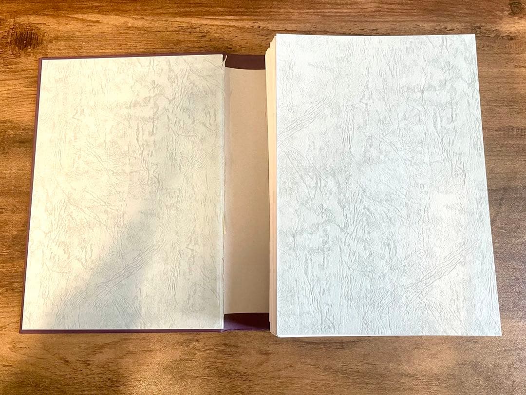 【裁断済み】眼科学 第3版