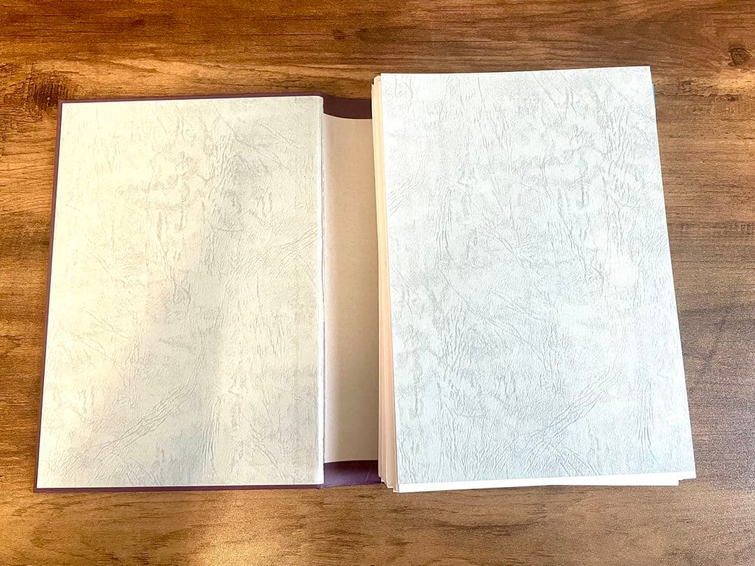 【裁断済み】眼科学 第3版