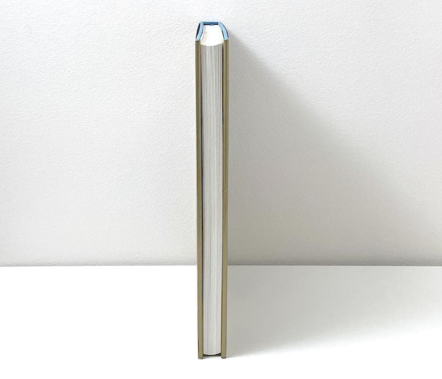 絶版 VERMEER COMPLETE PAINTINGS フェルメール 絵画集