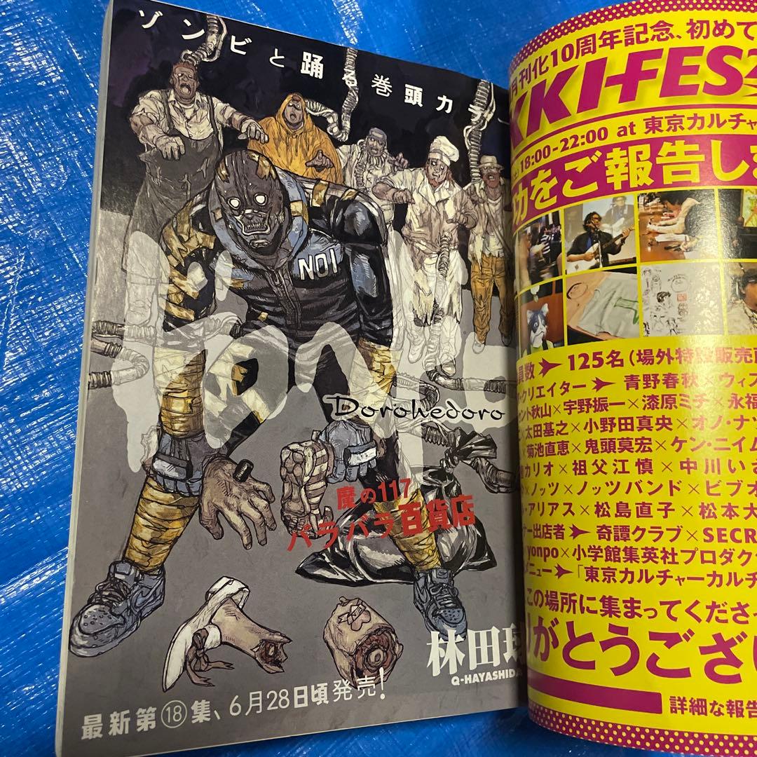 月刊IKKI 月刊イッキ 2013年6月号 ドロヘドロ掲載 青年漫画雑誌