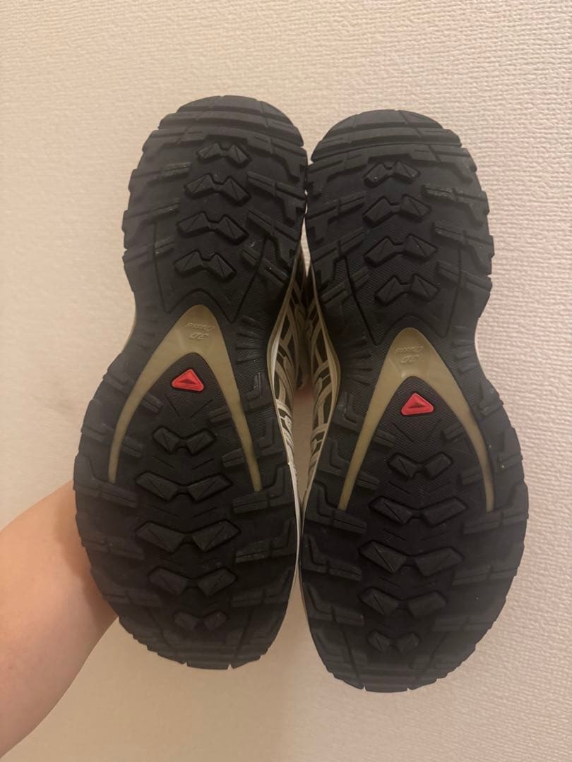 SALOMON XA PRO 3D ベージュ/ブラウン