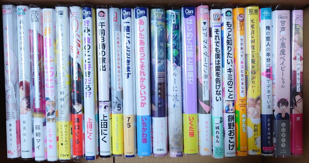 BLコミック【2冊1100円】