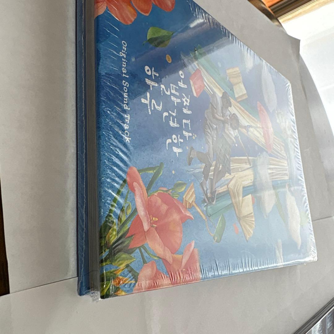 偶然見つけたハルost 写真集セット