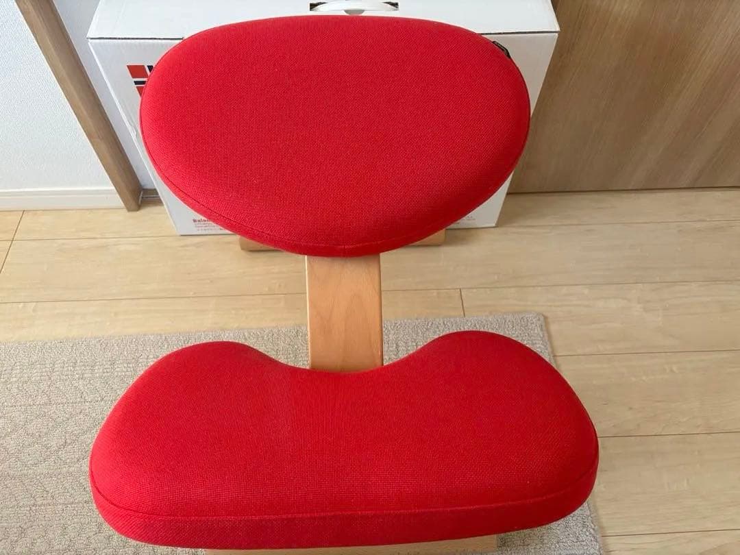 【美品】カバー付／箱付正規品 バランスチェア（サカモトハウス）バランスチェア