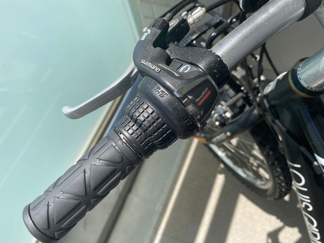 引取限定 LOUIS GARNEAU ルイガノ J22 子供用自転車