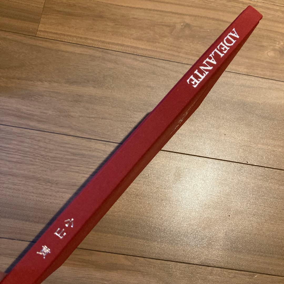 野生ラン 写真集「艶蘭亭 ADELANTE - パラグアイの野生蘭と甲虫」小山貢