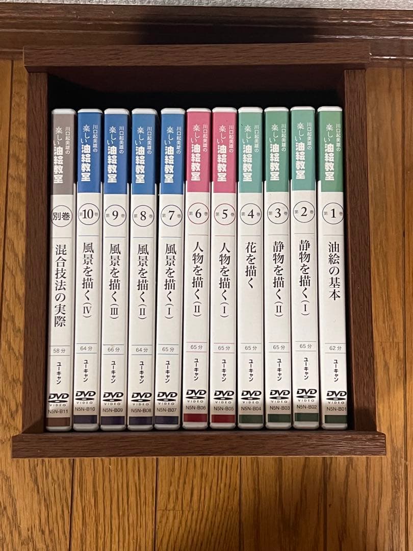 DVD ユーキャン 川口起美雄の楽しい油絵教室 全10巻＋別巻の11本セット