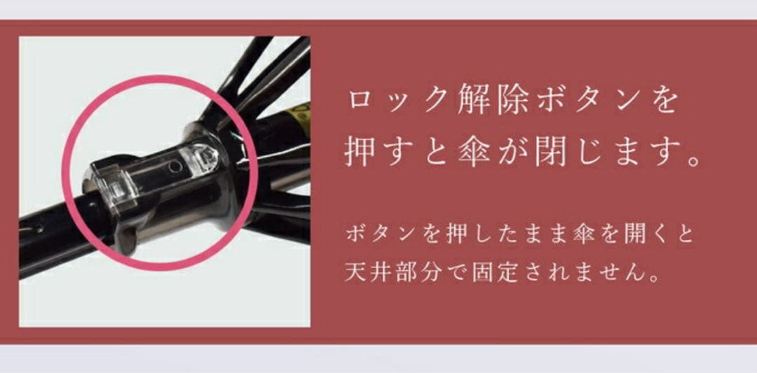 Rose Blanc ロサブラン 折りたたみ日傘 50cm 2段折