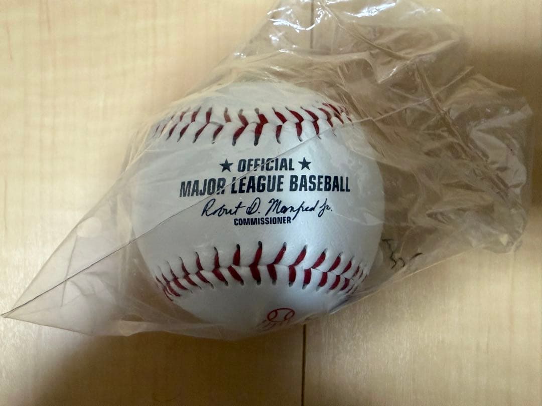 Dia De Los Dodgers ジャージ