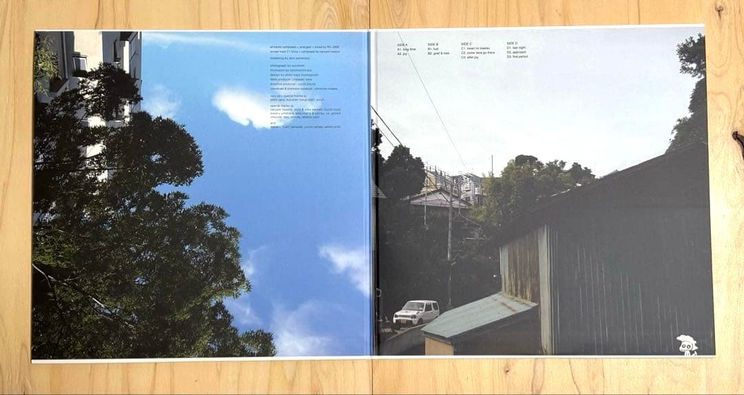 rei harakami lust 2枚組レコード