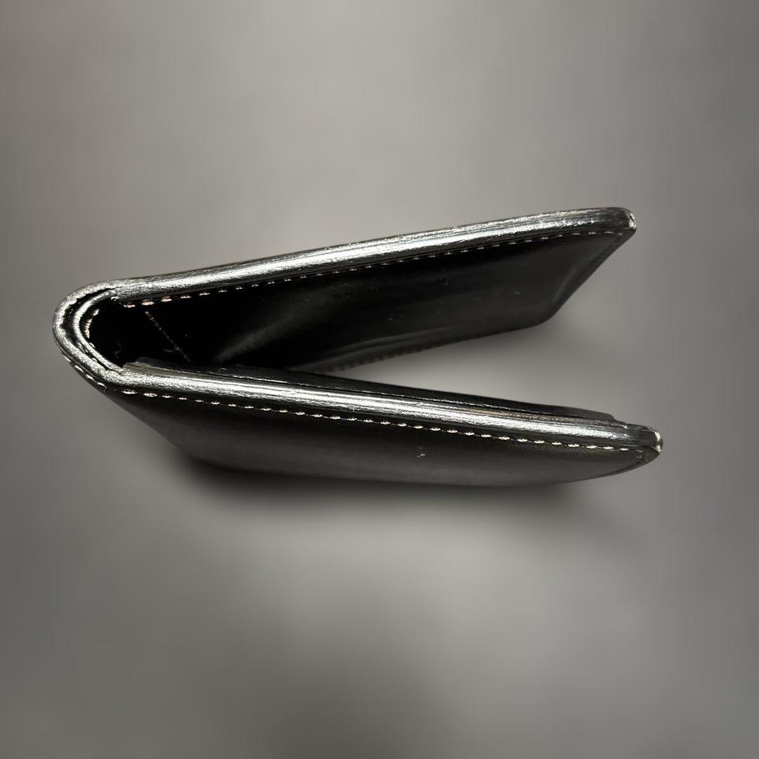 ワイルドスワンズ　サドルプルアップ　グラウンダー