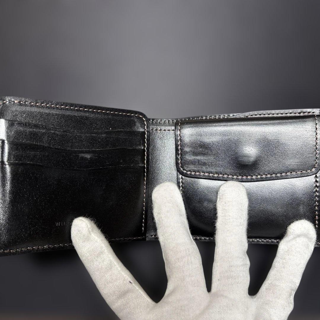 ワイルドスワンズ　サドルプルアップ　グラウンダー