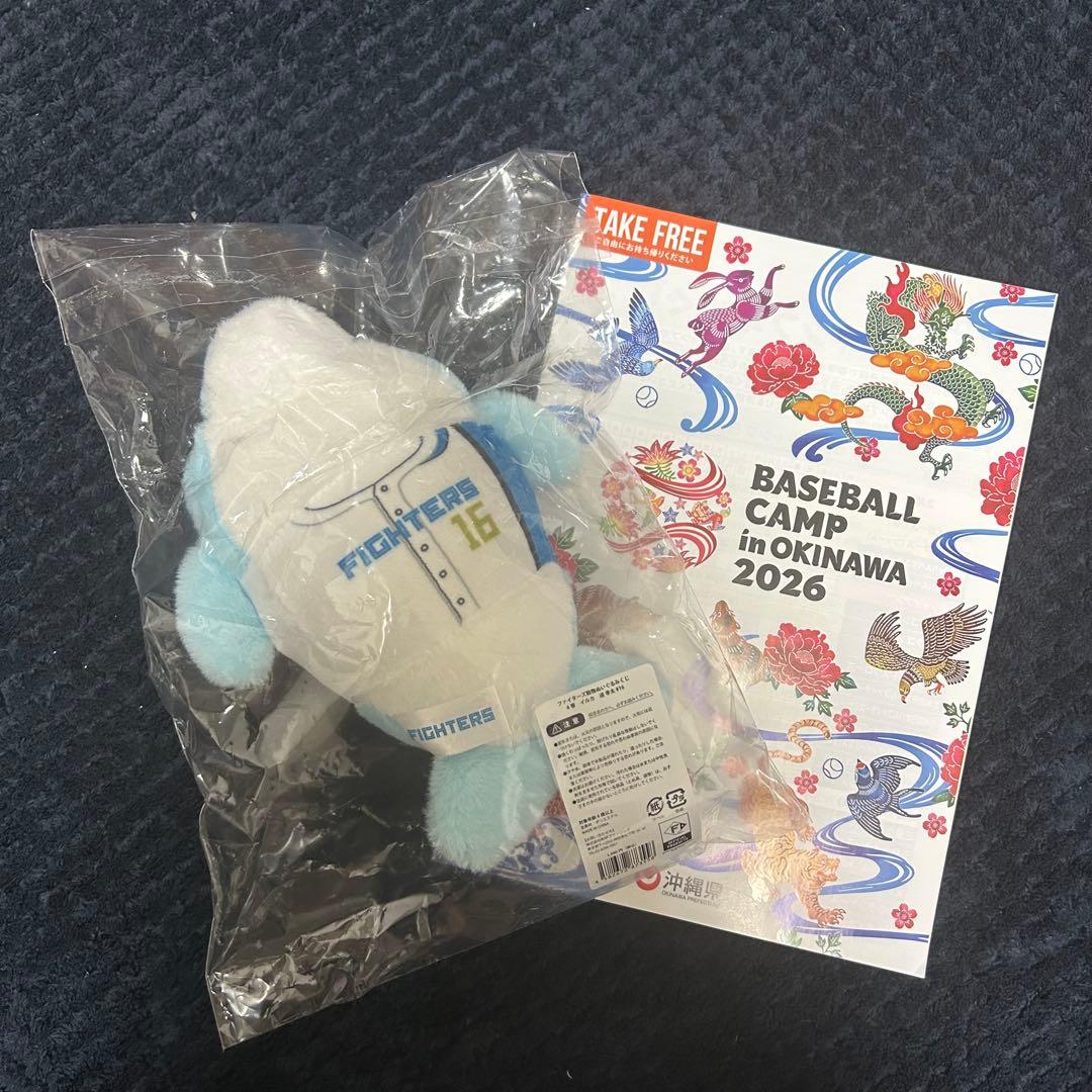 日本ハムファイターズ 沖縄キャンプ限定　イルカ　くじ　 達孝太　直筆　サイン入り