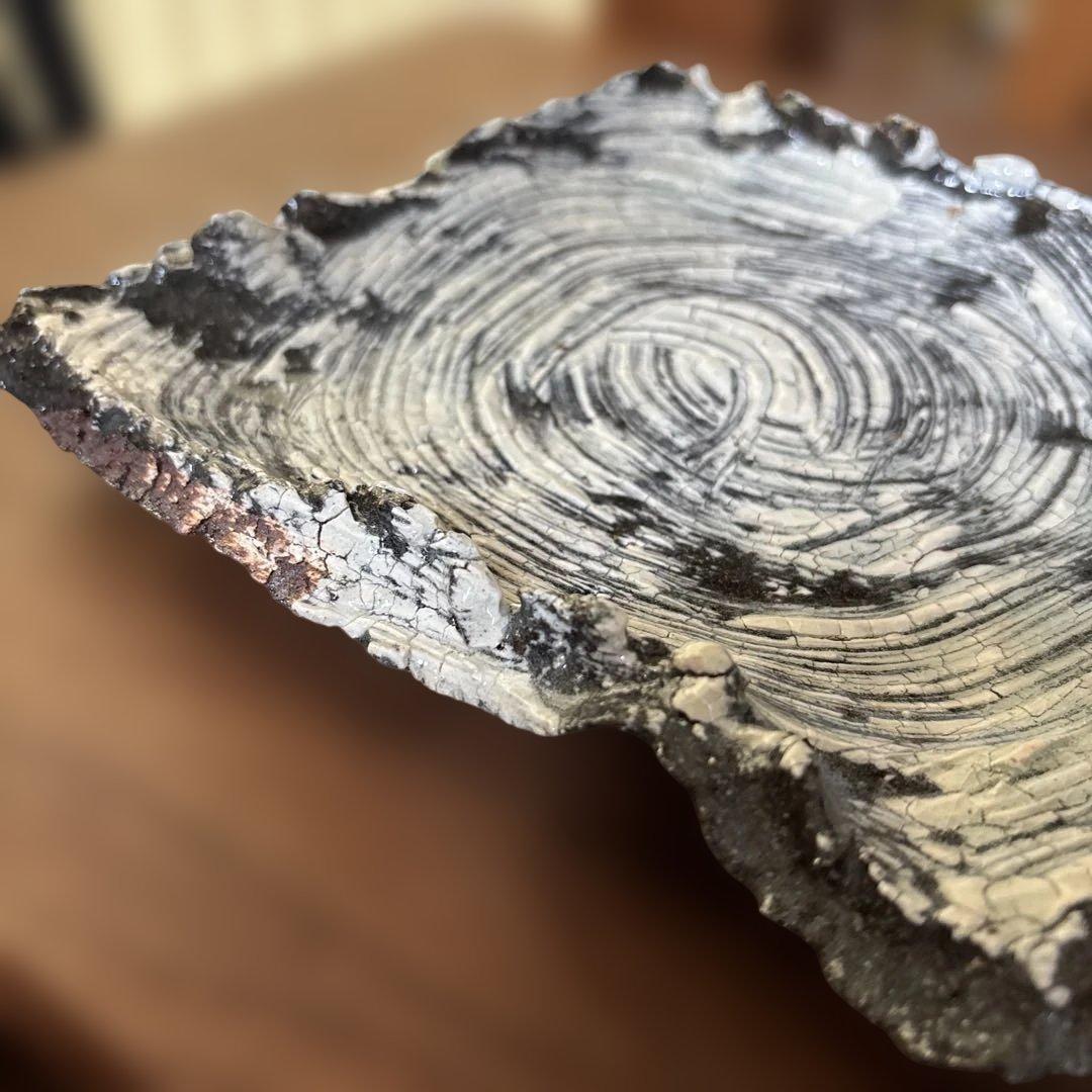 【唐津焼中川自然坊窯】刷毛目唐津四方もち上げ皿②