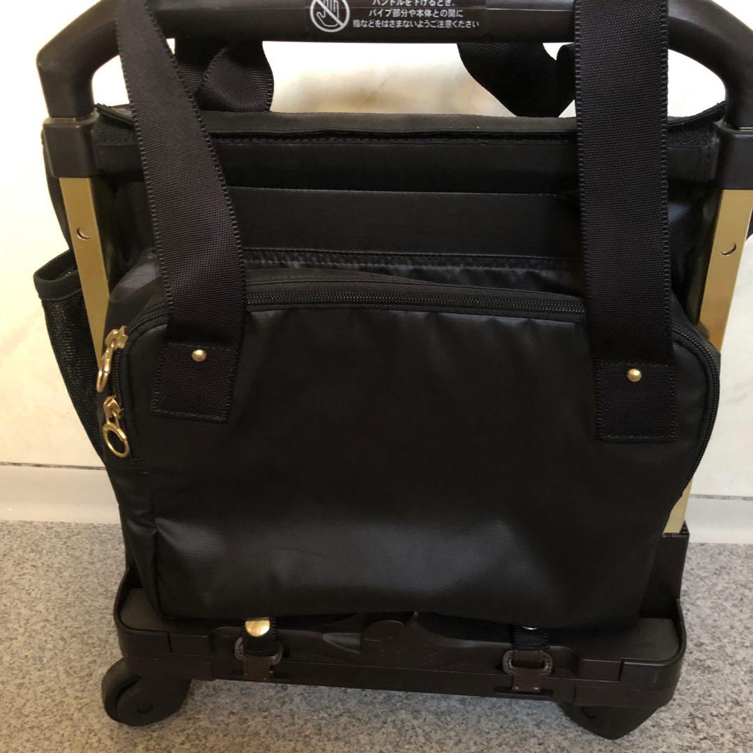 カナナプロジェクト キャリー