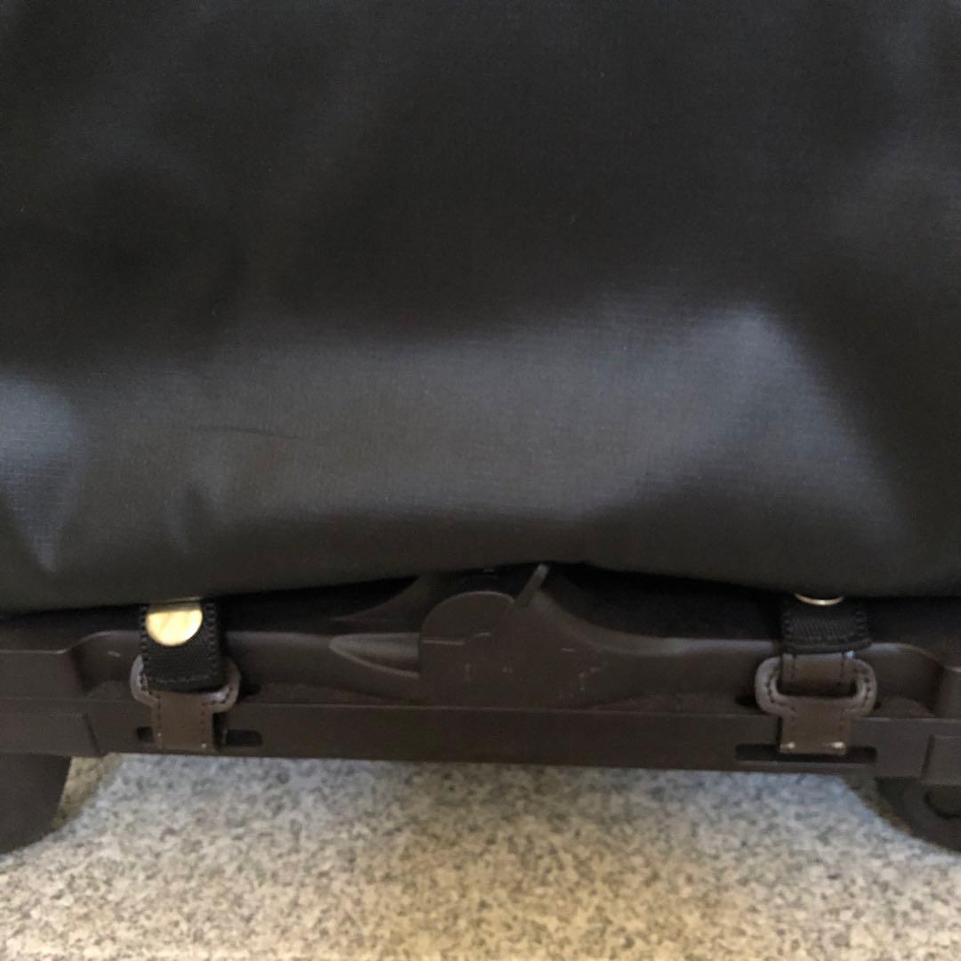 カナナプロジェクト キャリー