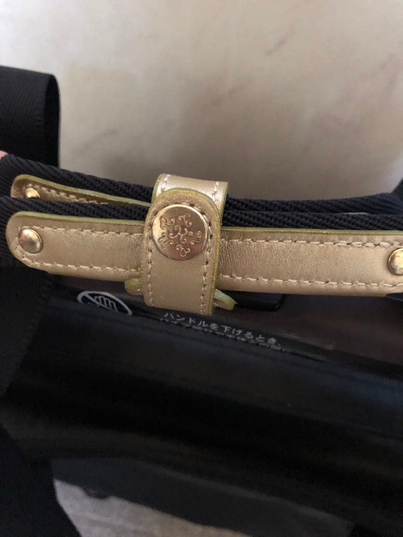 カナナプロジェクト キャリー