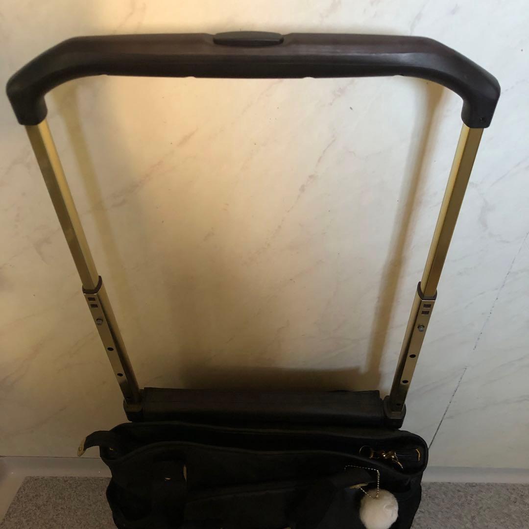 カナナプロジェクト キャリー