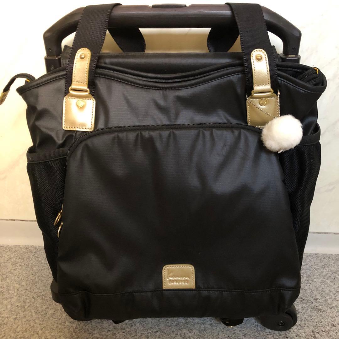 カナナプロジェクト キャリー