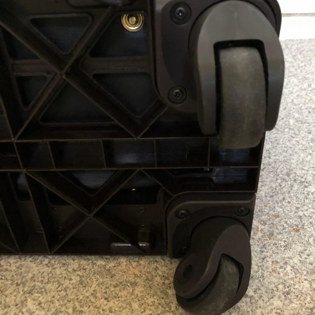 カナナプロジェクト キャリー