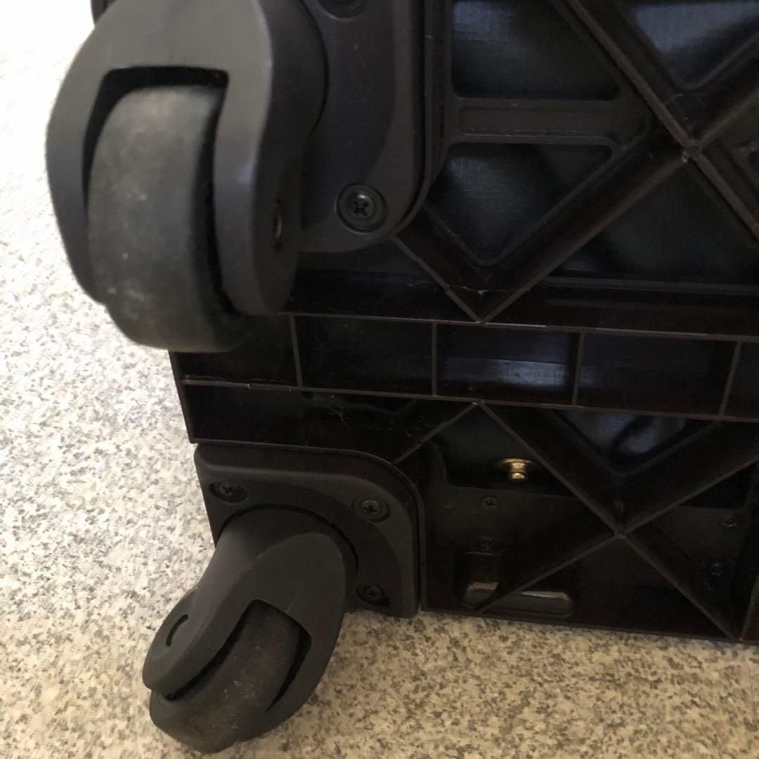 カナナプロジェクト キャリー