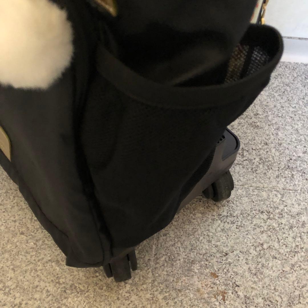 カナナプロジェクト キャリー