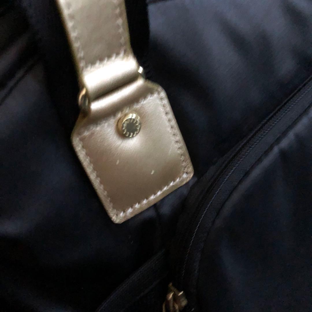 カナナプロジェクト キャリー