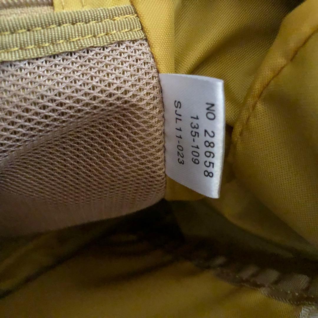 カナナプロジェクト キャリー