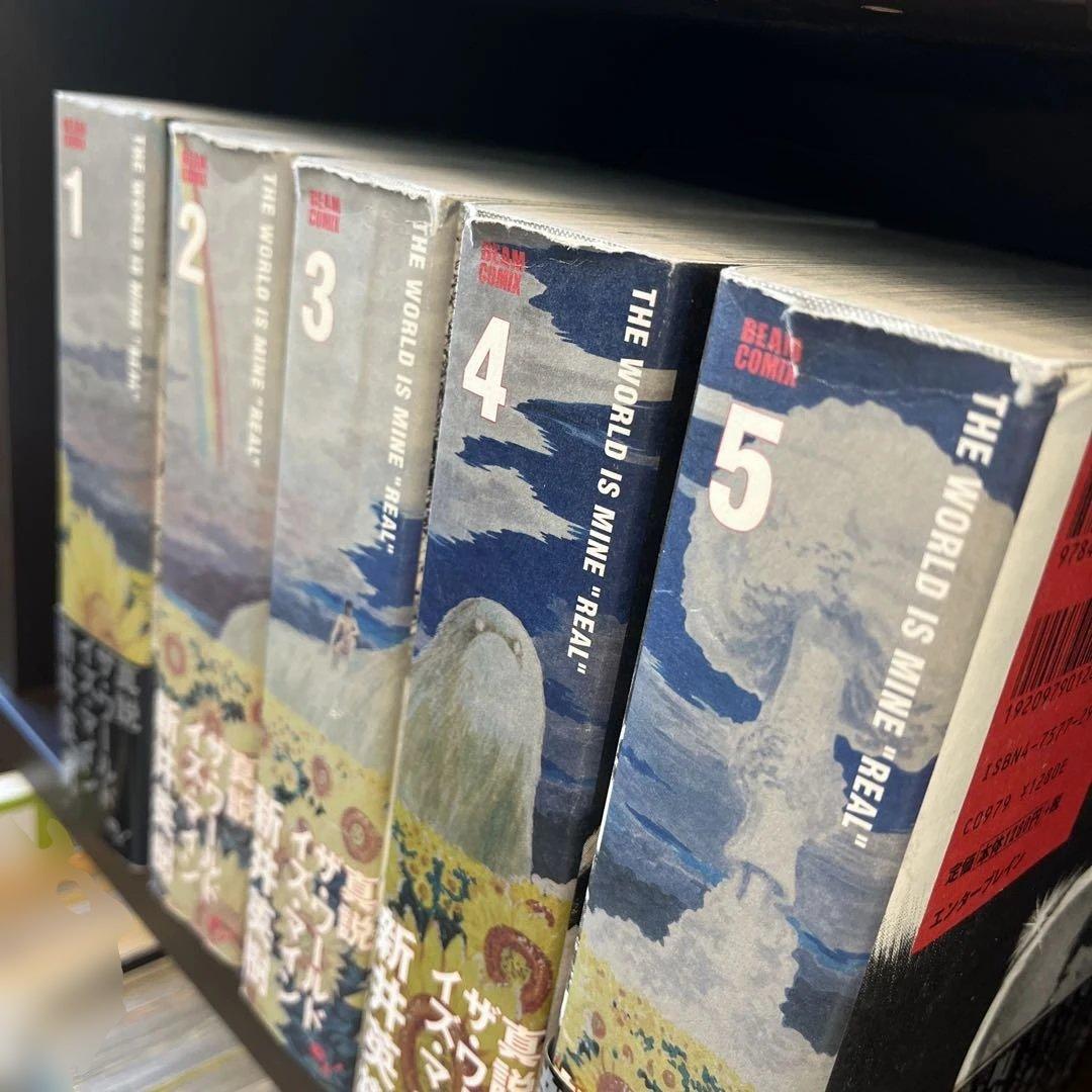 新井英樹　RIN、SUGAR、宮本君から君へ、その他