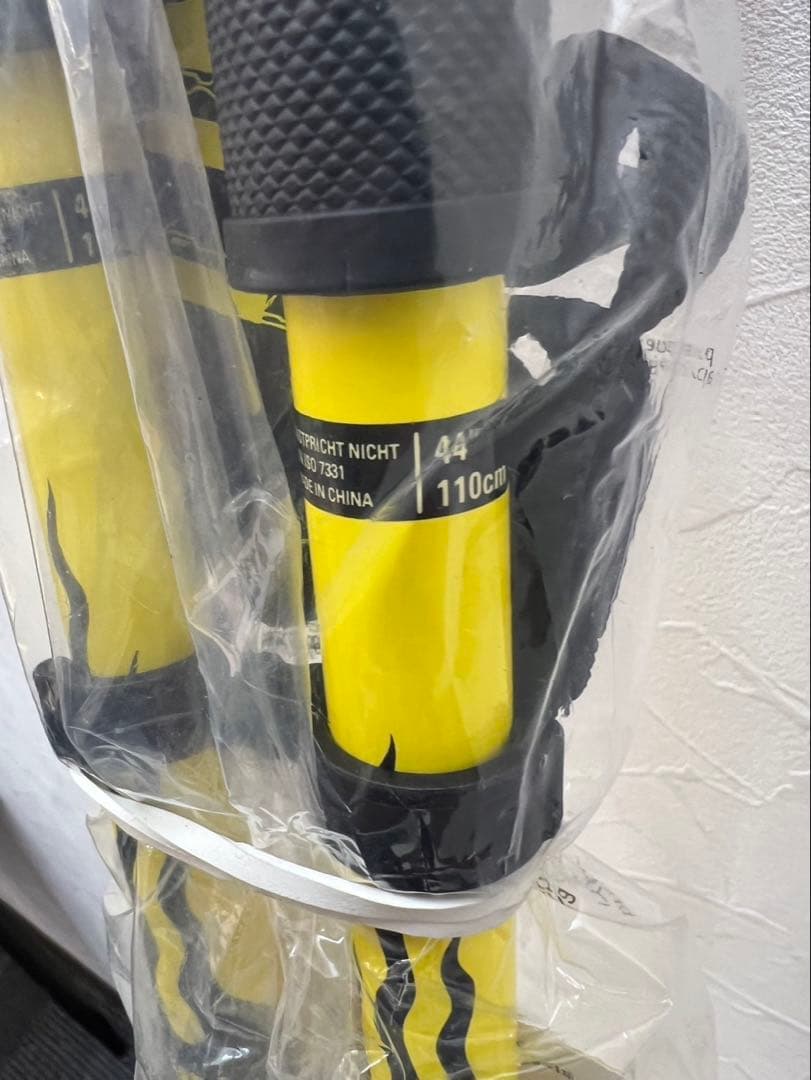 ATOMIC アトミック スキー板 とラインSKIS POLES スキーポール