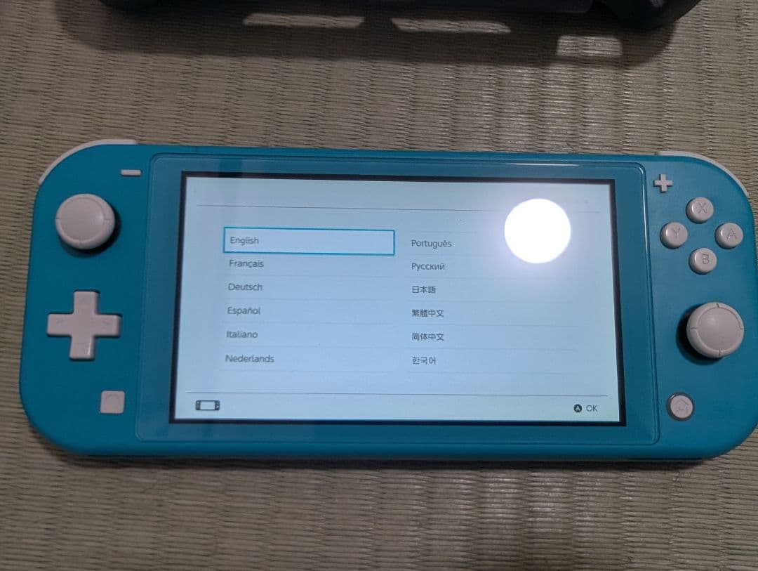 【即日発送】中古Nintendo Switch Lite 本体 カバー2種類付き