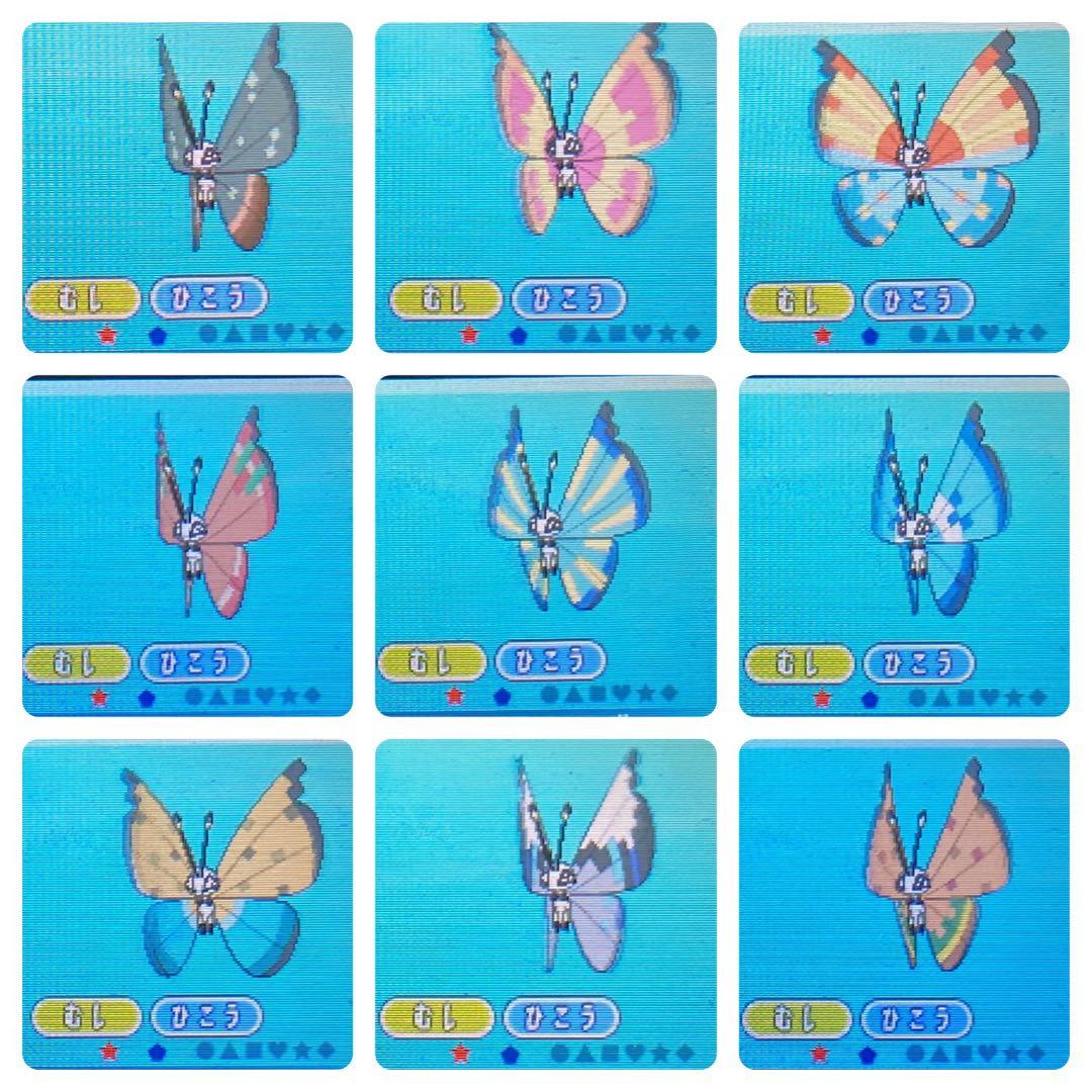 ポケットモンスター ムーン 配信色イーブイ 6.7世代リボンコンプ203