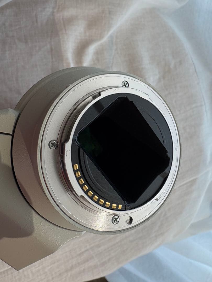 Sony Gレンズ 70-200mm