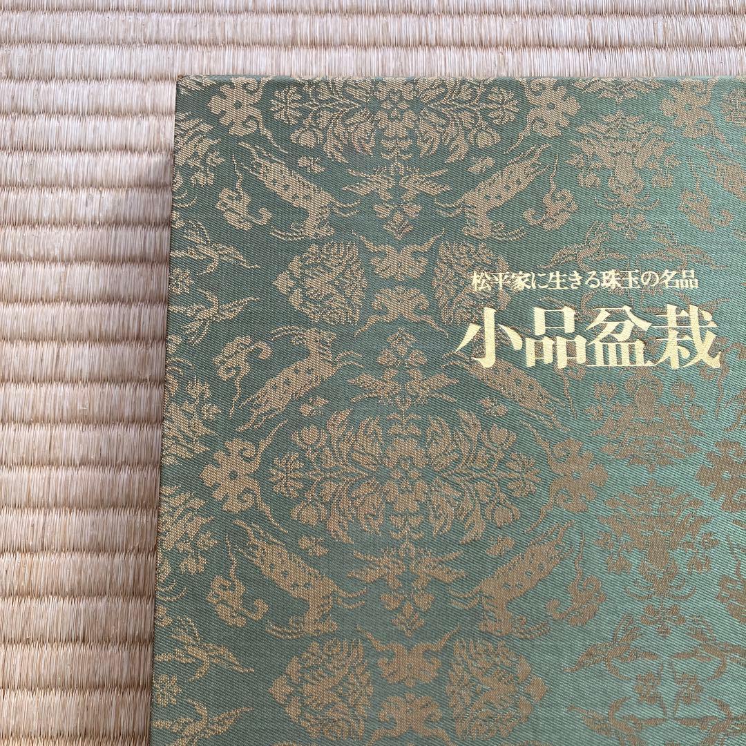 松平家に生きる珠玉の名品　小品盆栽