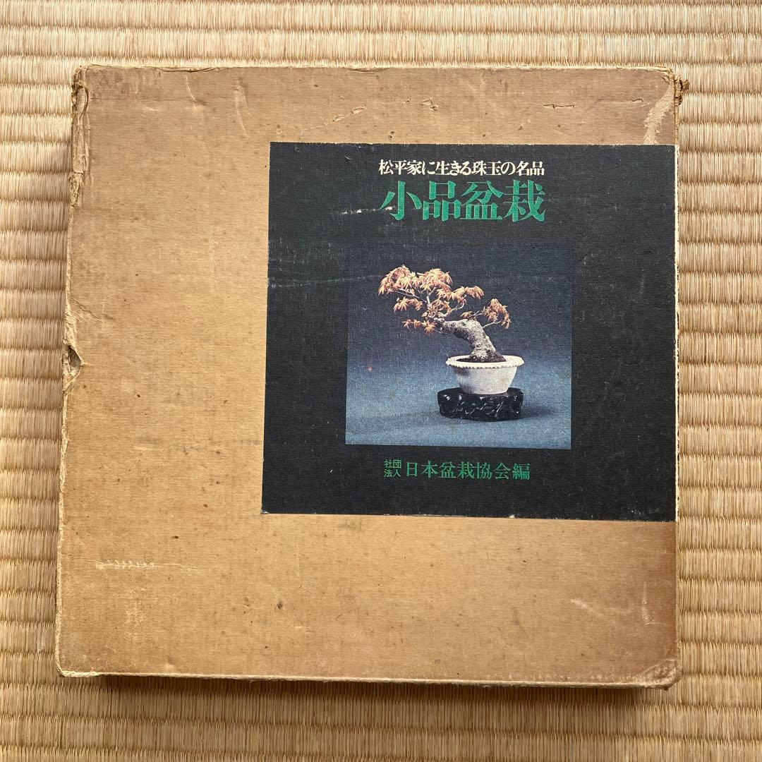 松平家に生きる珠玉の名品　小品盆栽