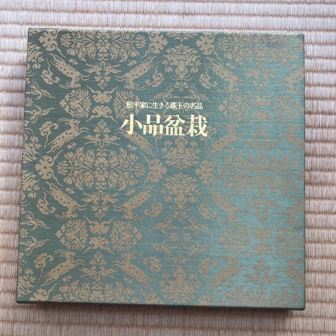 松平家に生きる珠玉の名品　小品盆栽