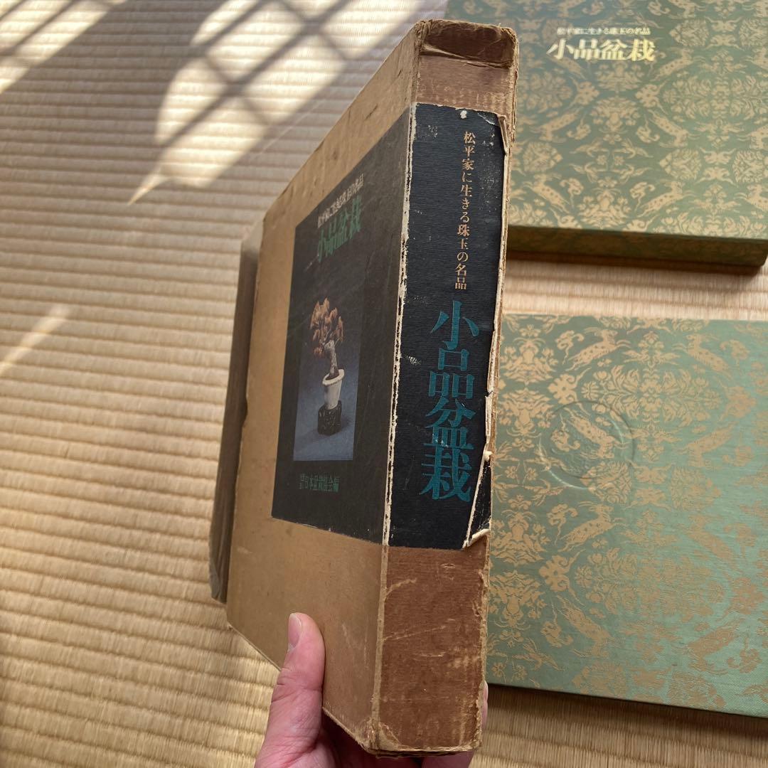 松平家に生きる珠玉の名品　小品盆栽