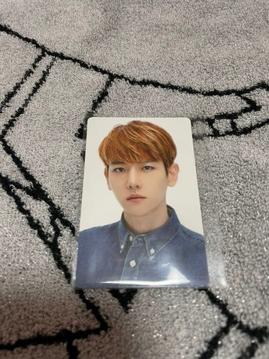 EXO ベッキョン PANTONEトレカ