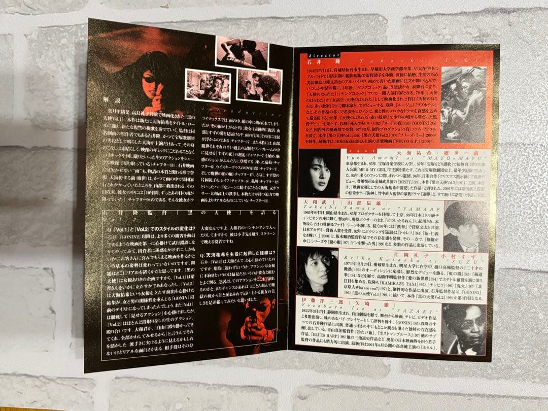 レア物　美品　天海祐希　石井隆　黒の天使 Vol.2 DVDパンフ　デラックス版