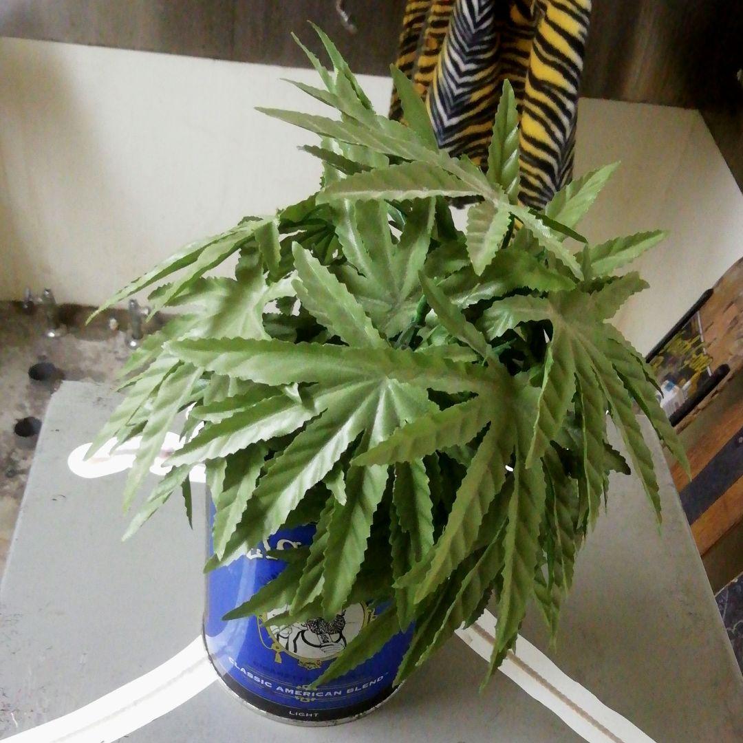 マリファナ　フェイクグリーン　造花　ビンテージ　当時物　車内アクセサリー