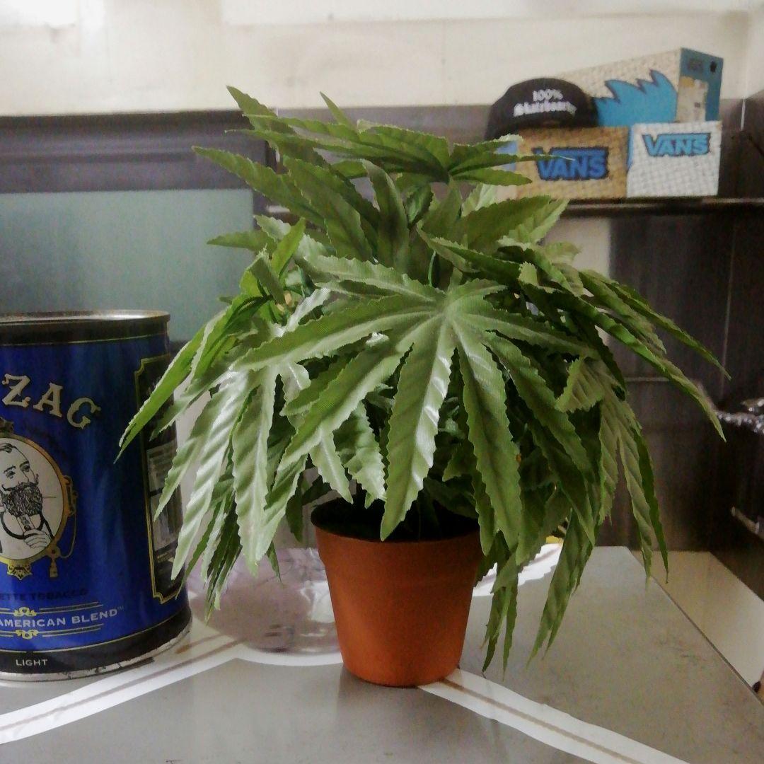 マリファナ　フェイクグリーン　造花　ビンテージ　当時物　車内アクセサリー