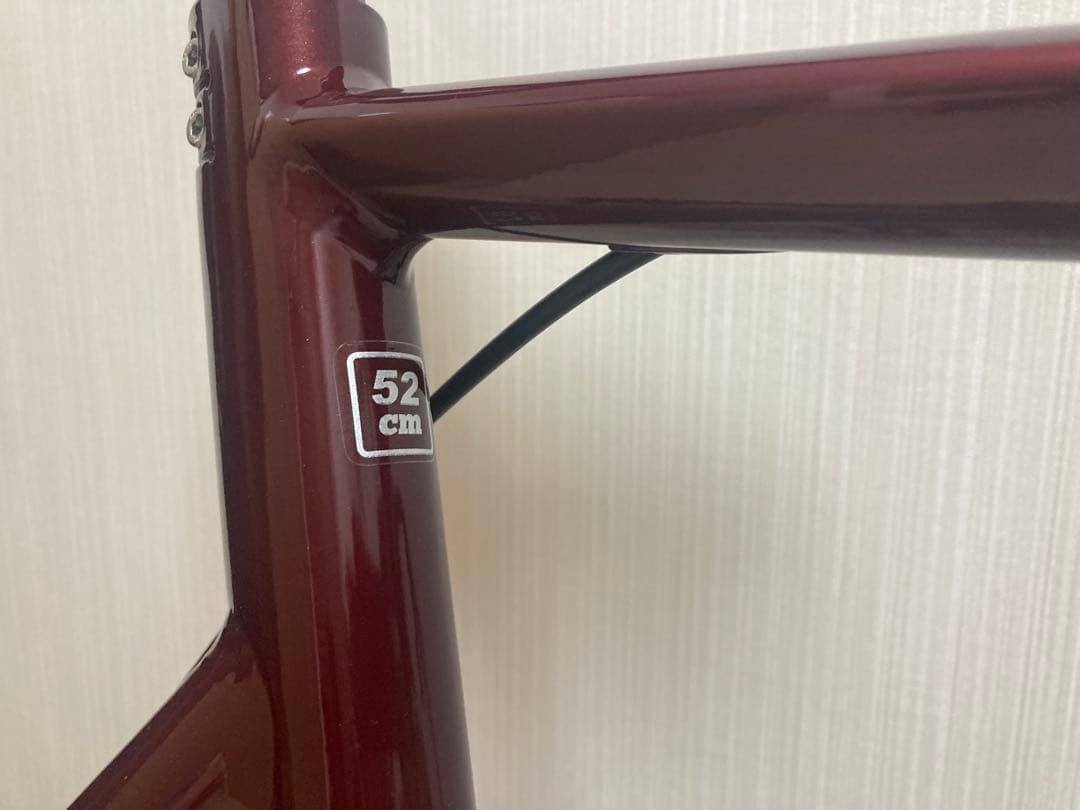 Tern Sage ミニベロ SHIMANO105ブレーキ　カーボンハンドル