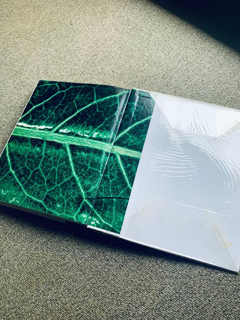 井上嗣也 GraphicWorks1981-2007 コムデギャルソン